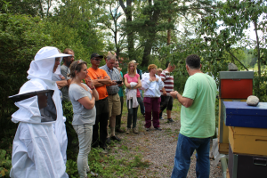 Sommarnöte_2014_1